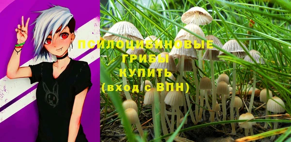 винт Белокуриха